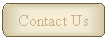 Rounded Rectangle: Contact Us